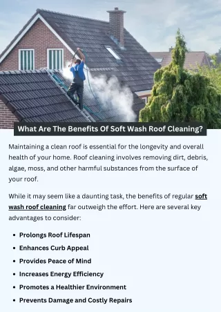 What Are The Benefits Of Soft Wash Roof Cleaning?