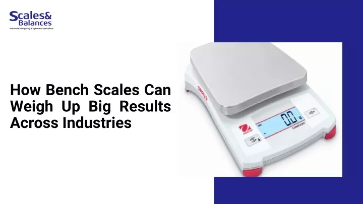 how bench scales can weigh up big results across