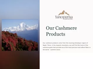 our cashmere products