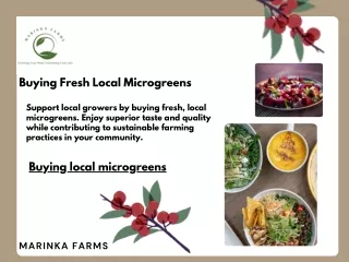 Buying Fresh Local Microgreens