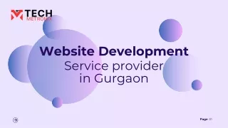 Website Development Service