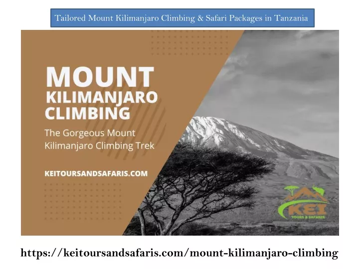 tailored mount kilimanjaro climbing safari