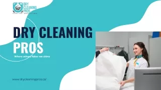 dry cleaning pros where others falter we shine