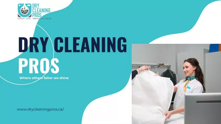 dry cleaning pros where others falter we shine