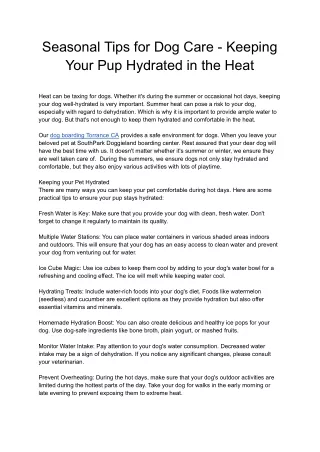 Seasonal Tips for Dog Care - Keeping Your Pup Hydrated in the Heat