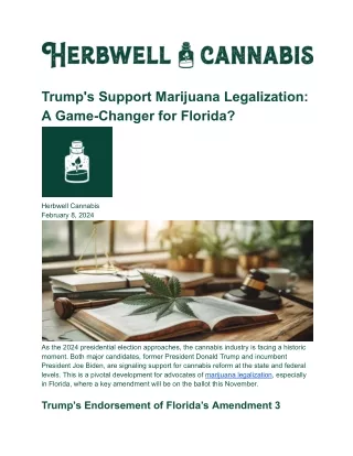 Trump's Support Marijuana Legalization_ A Game-Changer for Florida_
