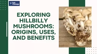 Exploring Hillbilly Mushrooms Origins, Uses, and Benefits