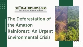 the deforestation of the amazon rainforest