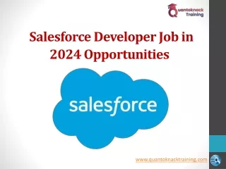 salesforce developer job in 2024 opportunities