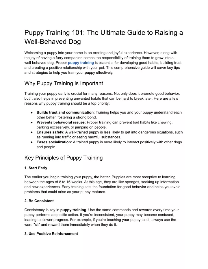 puppy training 101 the ultimate guide to raising