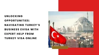 Apply for Business Online Visa for Turkey