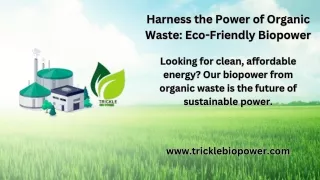 Organic Waste to Biopower: The Future of Clean Energy