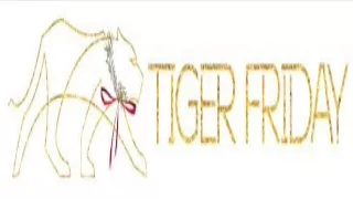 Shop Premium Unitards Dancewear Online - Tiger Friday