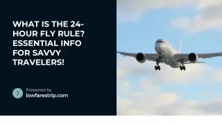 What Does 24-Hour Flight Mean? Discover the Truth Today!