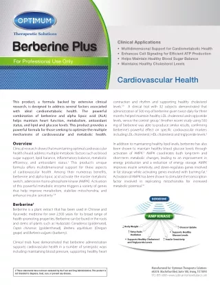 Berberine Plus (With ALA) - Supports Healthy Blood Sugar Levals