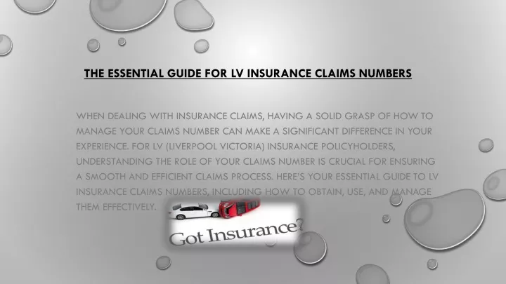 the essential guide for lv insurance claims numbers