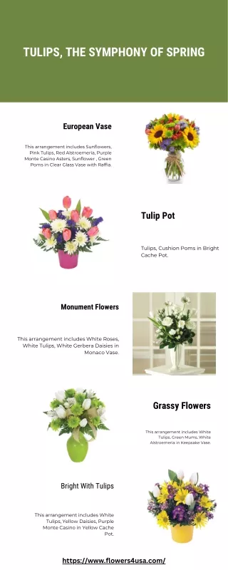 Tulips, the Symphony of Spring