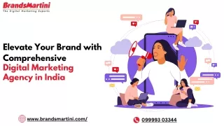 Elevate Your Brand with Comprehensive Digital Marketing Agency in India