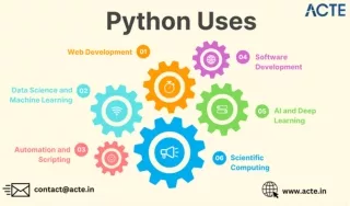 The Power of Python: What It’s Used For and Which Companies Rely on It