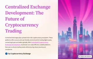 centralized exchange development the future