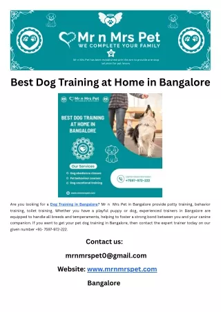 Best Dog Training at Home in Bangalore