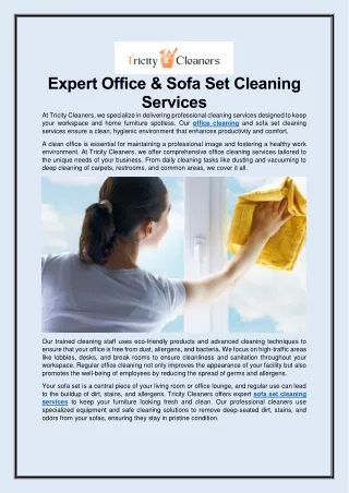 Expert Office & Sofa Set Cleaning Services