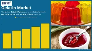 gelatin market