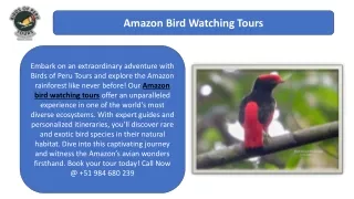 Amazon Bird Watching Tours