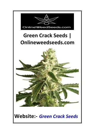 Green Crack Seeds  Onlineweedseeds.com