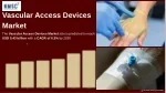 Comprehensive Analysis of the Vascular Access Devices Market - slide 1
