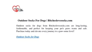 Outdoor Socks For Dogs  Bitcheslovesocks.com
