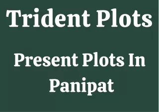 Trident Plots Panipat E-Brochure