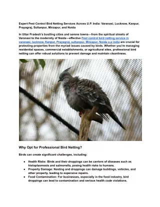 Expert Pest Control Bird Netting Services Across U
