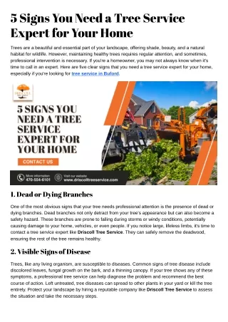 5 Signs You Need a Tree Service Expert for Your Home