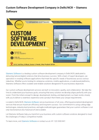custom software development company in delhi