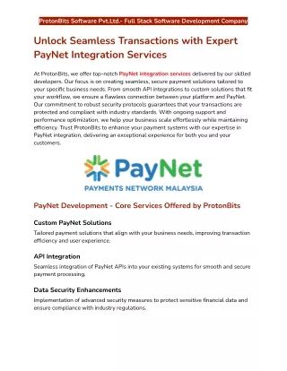 Unlock Seamless Transactions with Expert PayNet Integration Services