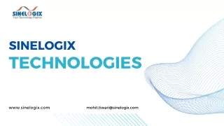 Website Design Agency in India Sinelogix