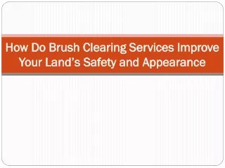 How Do Brush Clearing Services Improve Your Land’s Safety and Appearance