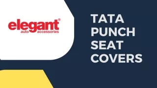 Tata punch seat cover