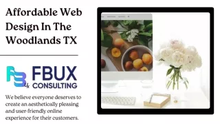 Affordable Web Design In The Woodlands TX