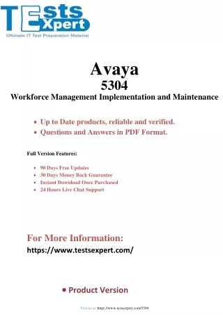 avaya 5304