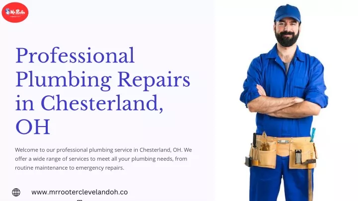 professional plumbing repairs in chesterland oh