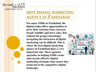 Best Digital Marketing Agency in Faridabad: Empowering SMBs in  the Digital Land