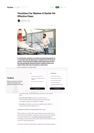 Touchless Car Washes A Gentle Yet pdf