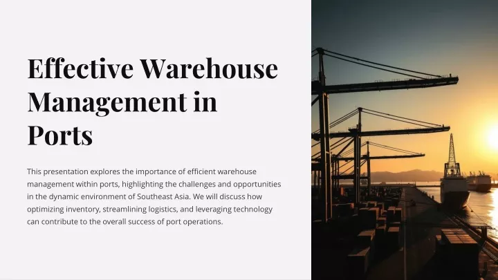 effective warehouse management in ports