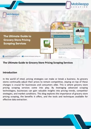 The Ultimate Guide to Grocery Store Pricing Scraping Services.ppt