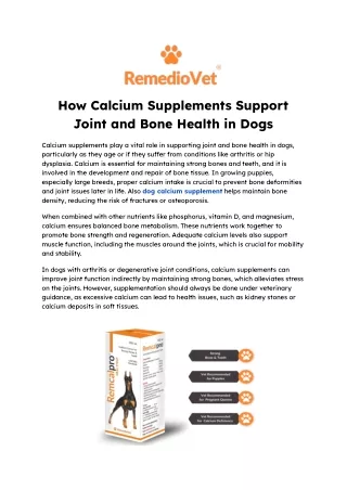 How Calcium Supplements Support Joint and Bone Health in Dogs