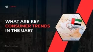 Business Formation in UAE