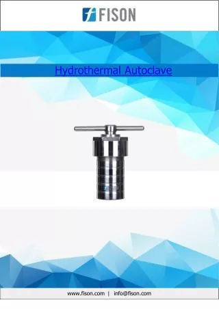 Hydrothermal-Autoclave 200 ml