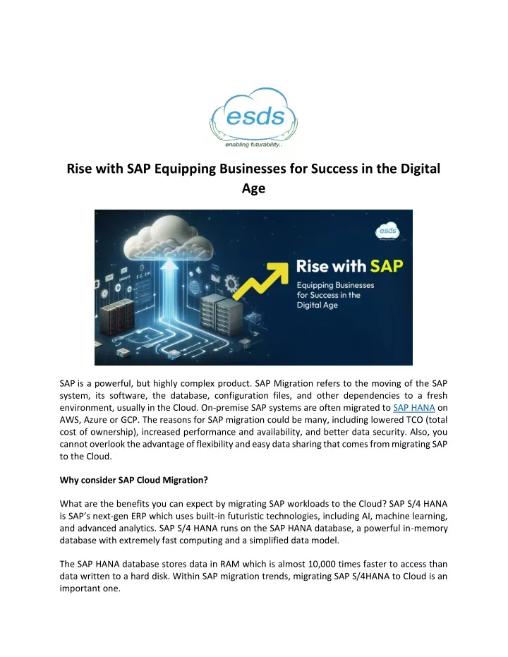 rise with sap equipping businesses for success